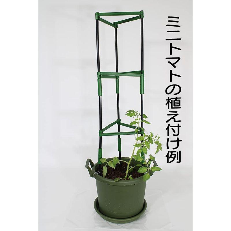 今年人気のブランド品や 簡単 栽培キット 朝顔 ミニトマト ナス ピーマン パプリカなどに最適 野菜栽培セット 鉢 鉢皿 培養土 肥料 鉢底石 支柱 殺虫剤 説明書 Wantannas Go Id