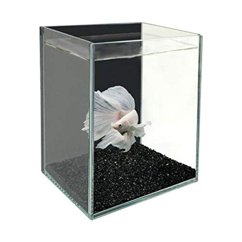 上等な ジェックス 1 X 9x12x15センチメートル ブラック ベタ グラステリア 水槽 水槽用品 Maeteep Ngao Go Th