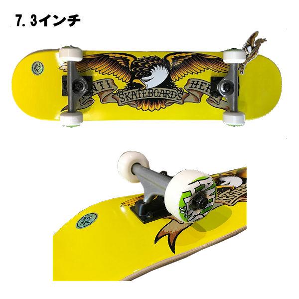 アンタイヒーロー ANTI HERO CLASSIC EAGLE コンプリート スケート