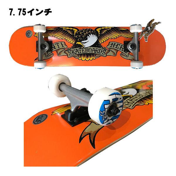 アンタイヒーロー ANTI HERO CLASSIC EAGLE コンプリート アンタイヒーロー ANTI HERO CLASSIC EAGLE コンプリート
