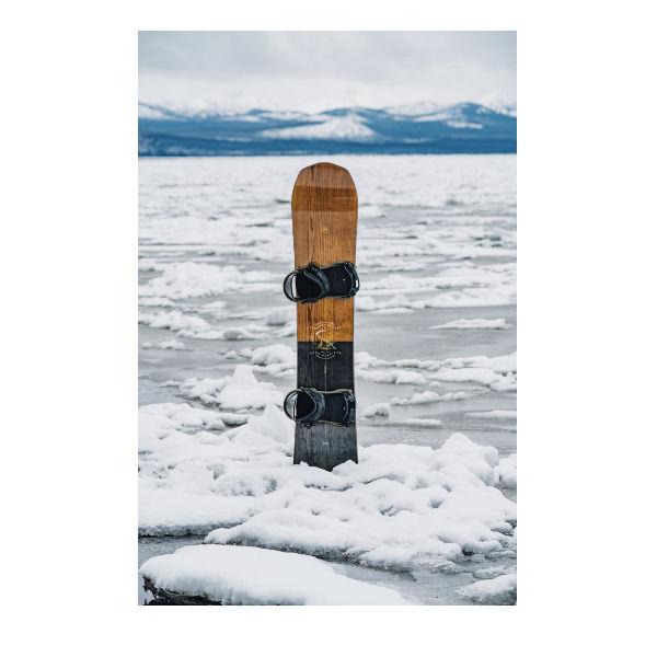 ARBOR アーバー 2021/2022 Element Camber エレメント キャンバー