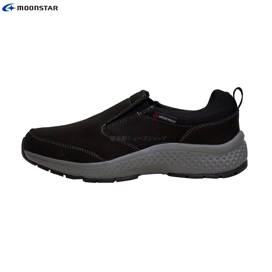 最終価格] 日本画 八木輝昭 「白い蕾と紅白牡丹」金箔背景