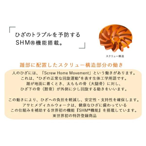 10648075_10