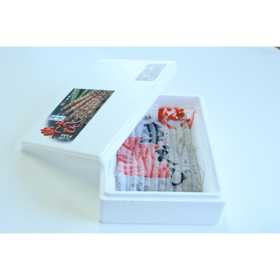 花咲舞が黙ってない シーズン1・2 DVD 各全巻セット ※レンタル使用済み