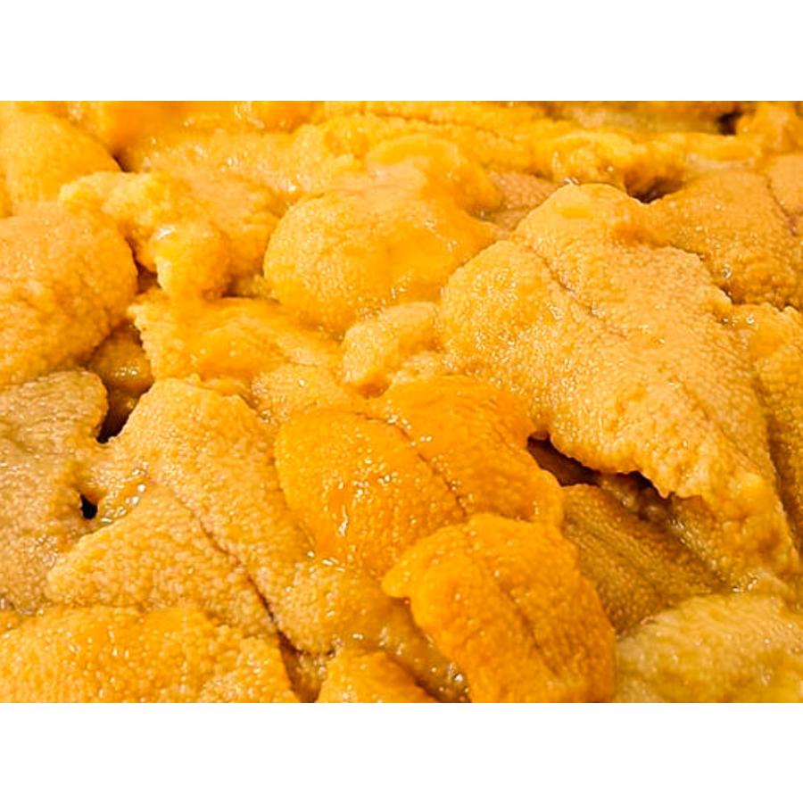 ウニ 生うに2本セット イルカウォッチングで有名な天草の海で育ちまし