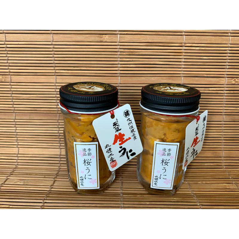 ウニ 生うに2本セット イルカウォッチングで有名な天草の海で育ちまし