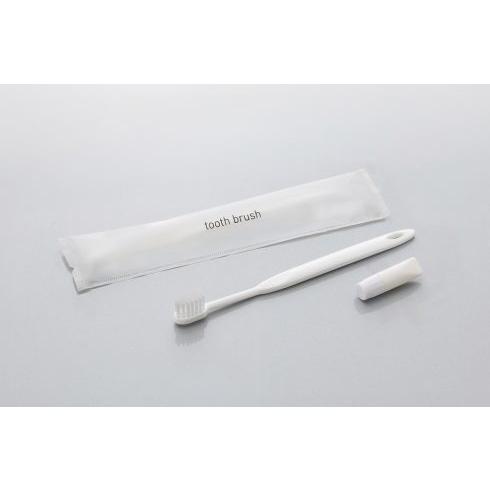 使い捨て歯ブラシ　歯磨き粉付き　高級　ホテル　温泉　歯ブラシ　使い捨て　ホテルアメニティ  VQL1927765979(16873円)