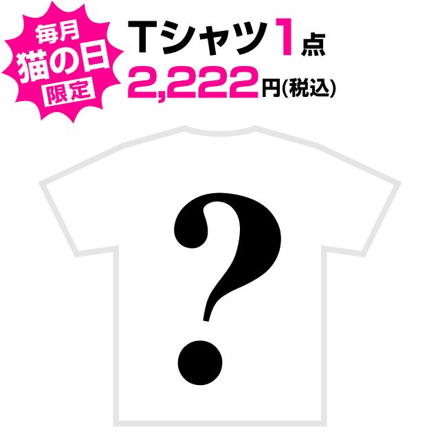 【 猫の日 限定 1/25マデ 】 ニャーニャーニャー・Tシャツ 猫 おもしろ かわいい 福袋 ネコ ねこ 猫柄 雑貨 爆買 SCOPY スコーピー | 