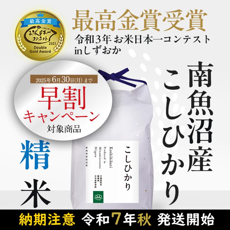 コシヒカリ 予約前払でお得に早割!【令和7年産新米】精米5kg コシヒカリ 予約前払でお得に早割!【令和7年産新米】精米5kg