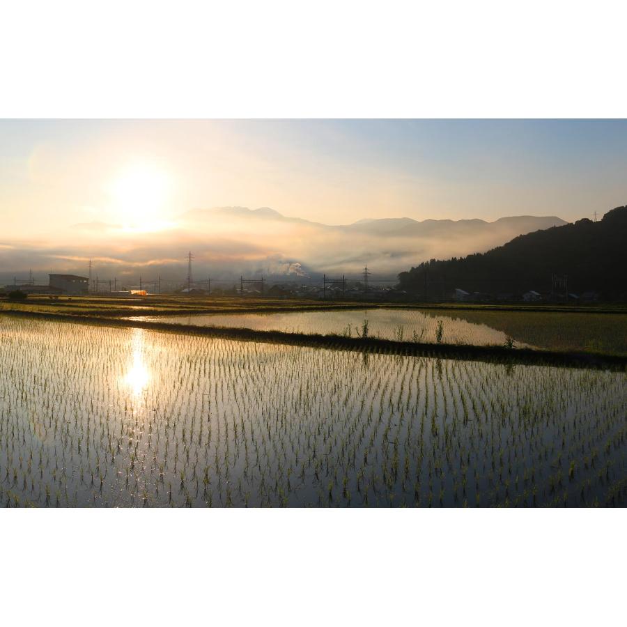 【無添加】玄米ベーグル10個セット<冷凍>南魚沼産コシヒカリ使用 〜炊いた玄米と国産小麦粉と酵母だけ〜　米農家まつえんどん |  | 08