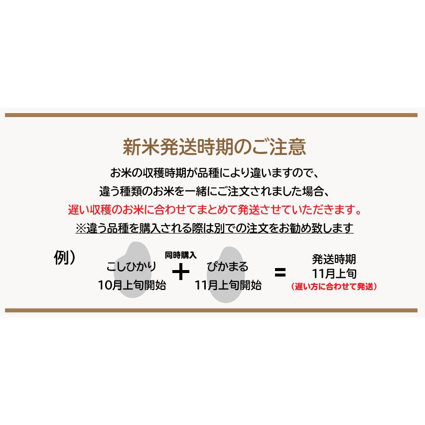 新之助（しんのすけ） 【令和8年産新米予約】精米5kg 南魚沼産新之助