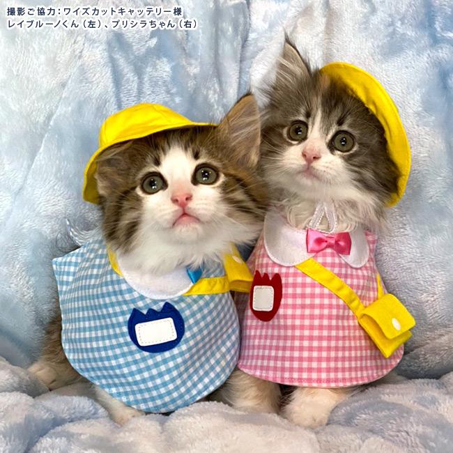 ss55 、シャツ襟男の子用(赤&グリーンチェック)わんちゃん猫ちゃん用 ゴロにゃんオリジナル 猫服 ワンタッチコーデシリーズ 幼稚園気分 S
