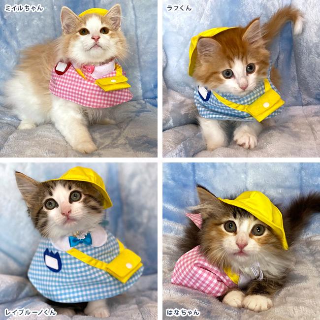 ゴロにゃんオリジナル 猫服 ワンタッチコーデシリーズ 幼稚園気分 S