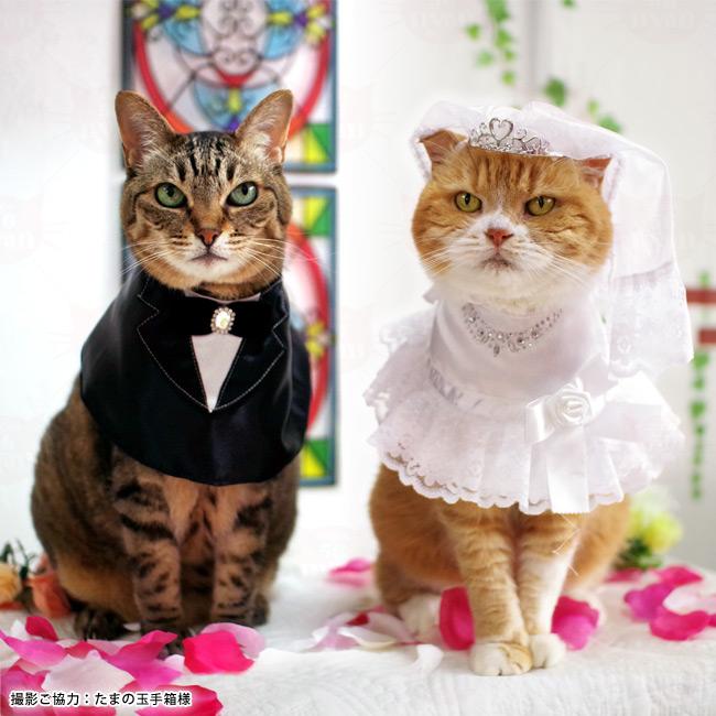 ワンタッチコーデシリーズ ウエディング気分 ティアラつきベール