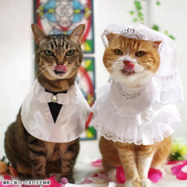 ワンタッチコーデシリーズ ウエディング気分 タキシード ゴロにゃん  