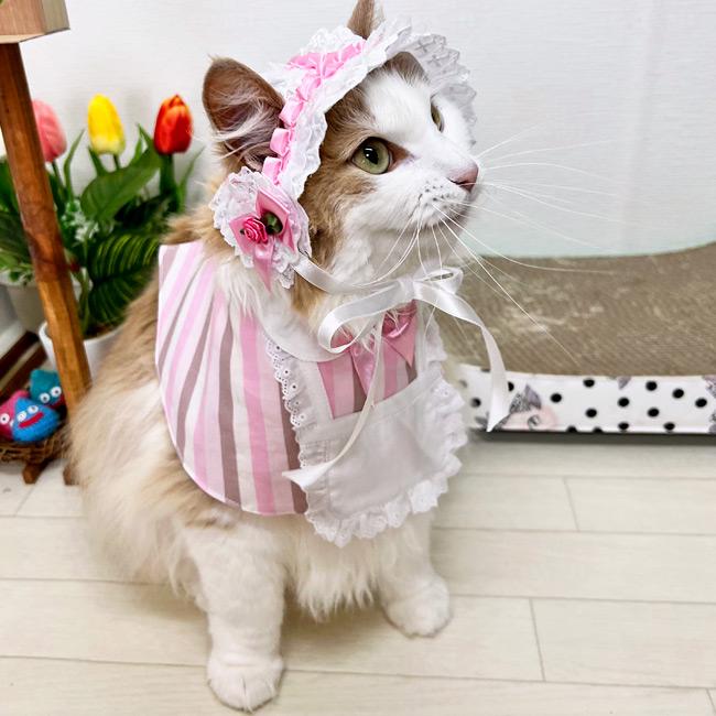 ゴロにゃんオリジナル 被り物 メイドさん気分用ヘッドドレス 耳穴あり