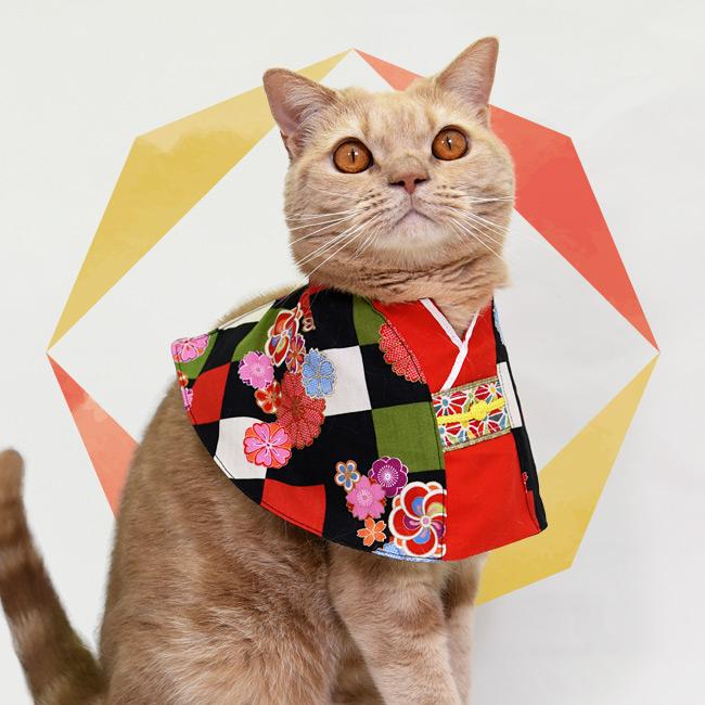 ワンタッチコーデ 着物気分 ゴロにゃんオリジナル猫服 : 56nyan 猫用品
