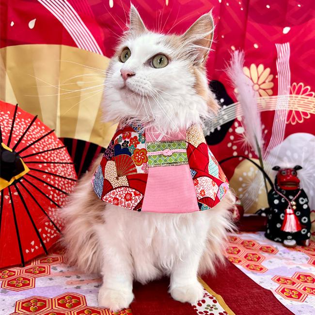 ワンタッチコーデ 着物気分 ゴロにゃんオリジナル猫服 : 56nyan 猫用品