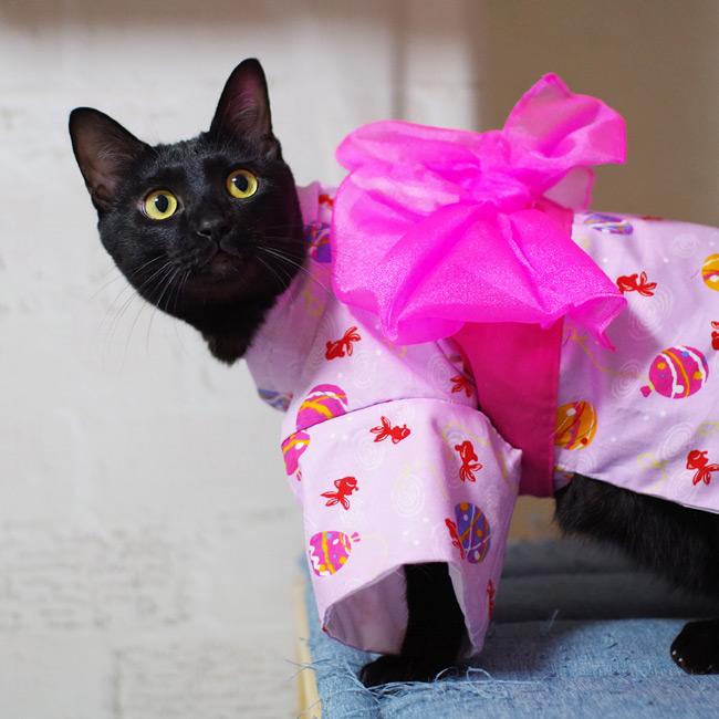 ゴロにゃんオリジナル 猫服 猫の着物 縁joy夏祭り 女の子浴衣 (37415