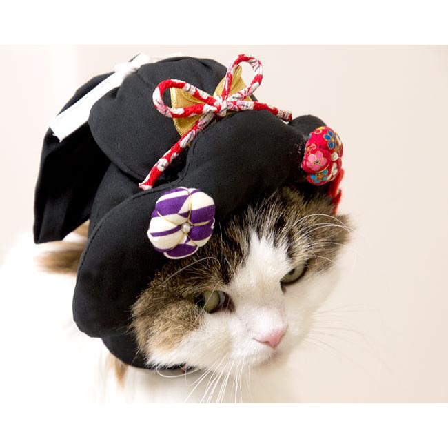 猫のかぶりもの 面白かつら にゃん晴れ文金高島田 : 56nyan 猫用品ゴロ