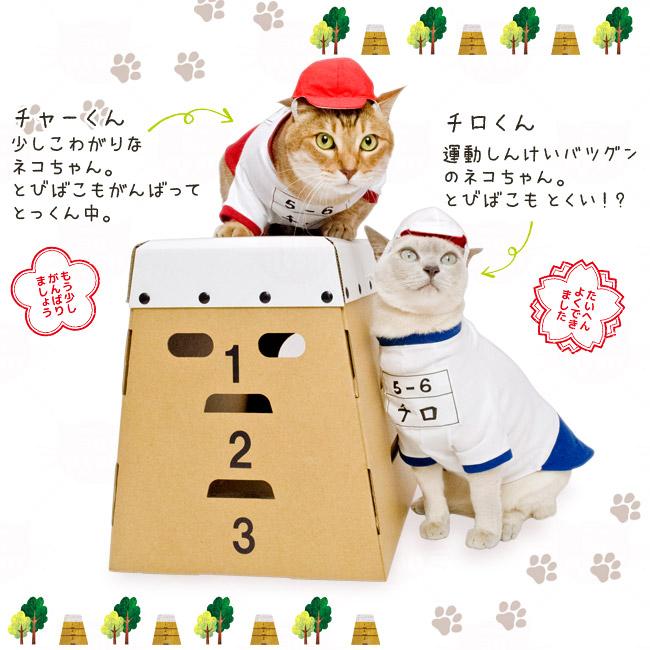 ゴロにゃんオリジナル猫服 体操服と赤白帽のセット ネイビー (27317