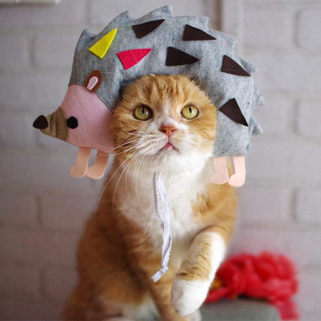 ゴロにゃんオリジナル 縁どるシリーズ はりねずみくん 猫の被り物 