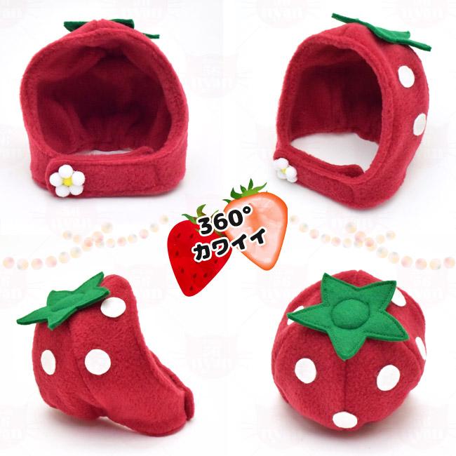 いちごちゃん ゴロにゃんオリジナル 猫の被り物 : 56nyan 猫用品ゴロ