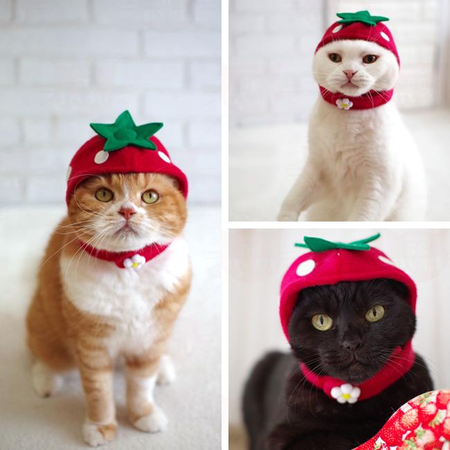 いちごちゃん ゴロにゃんオリジナル 猫の被り物 : 56nyan 猫用品ゴロ