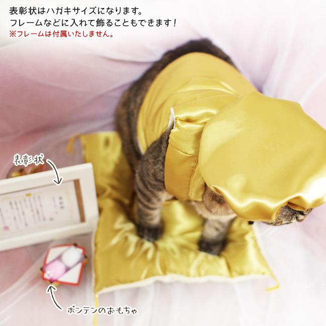 ゴロにゃんオリジナル 猫服 豪華長寿服セット 雲柄白金 (35695