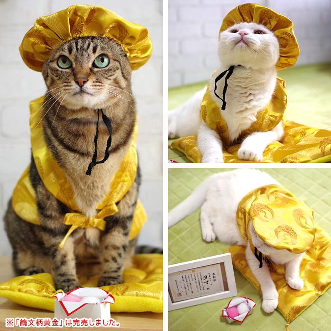 ゴロにゃんオリジナル 猫服 豪華長寿服セット こがね (37590) : 56nyan