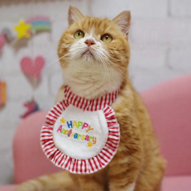 ハッピースタイ Sサイズ 猫・小型犬用 LIFELIKE ライフライク : 56nyan