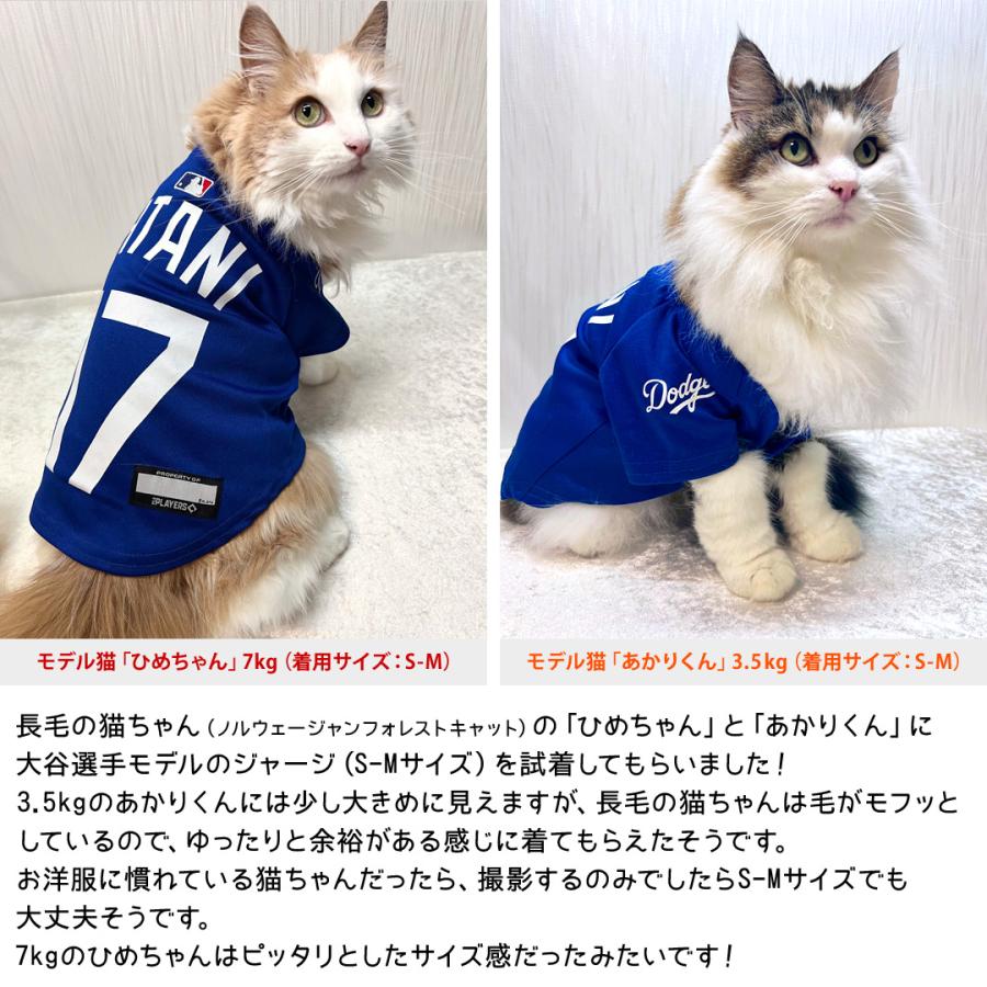 MLB公式 ロサンゼルス ドジャース 大谷翔平選手モデル ユニフォーム