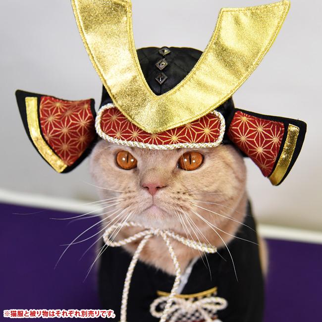 にゃん晴れ 兜 (37033) ゴロにゃんオリジナル 猫の被り物 かぶと