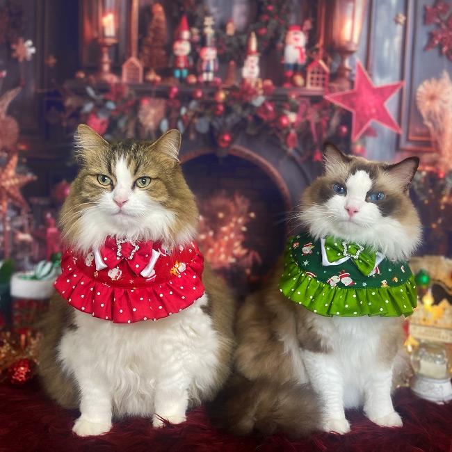 ワンタッチコーデ クリスマスふりふりフリル ゴロにゃんオリジナル 袖