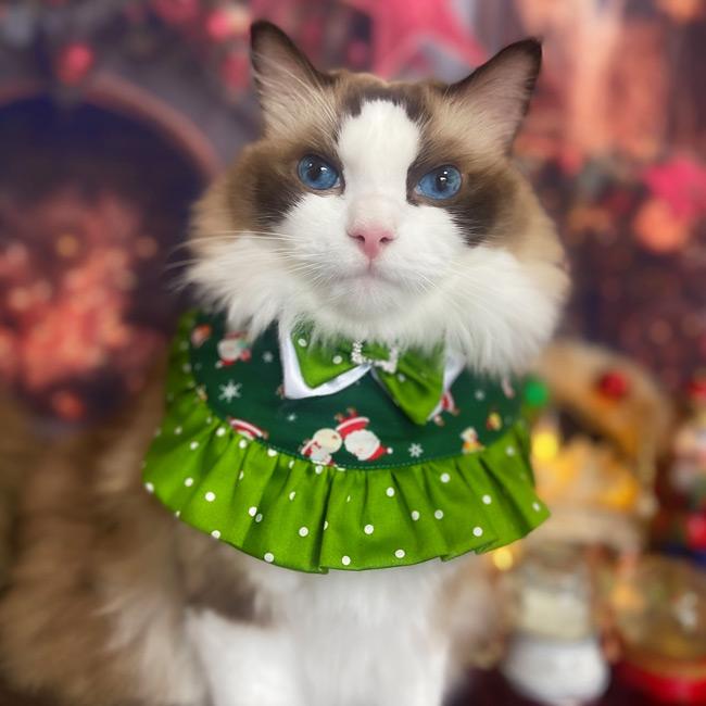 ワンタッチコーデ クリスマスふりふりフリル ゴロにゃんオリジナル 袖