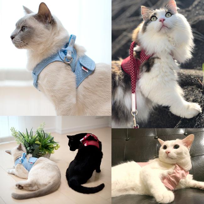 猫用ハーネス ダブルブロックタイプ ドットシリーズ LLサイズ : 56nyan
