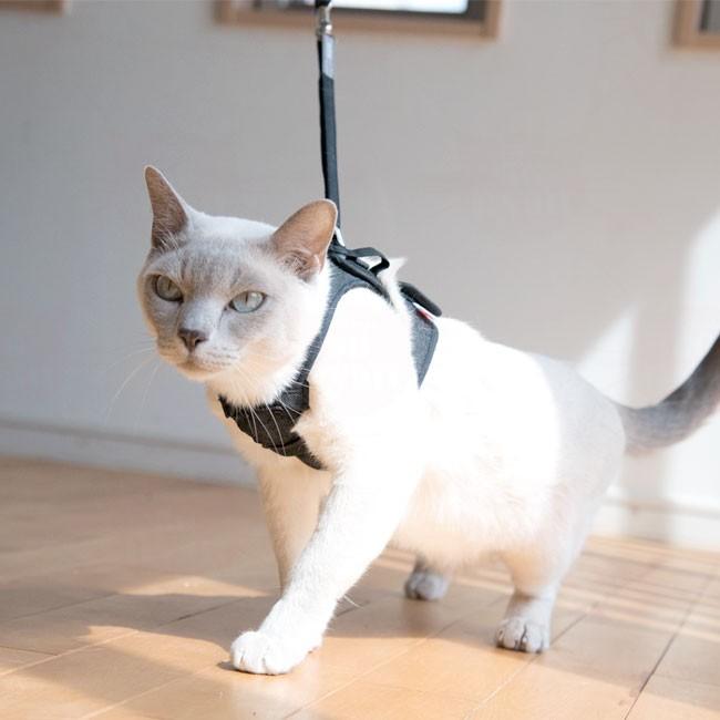 ゴロにゃんオリジナルハーネス ダブルブロック専用リード デニムシリーズ 56nyan 猫用品ゴロにゃんヤフー店 通販 Yahoo ショッピング