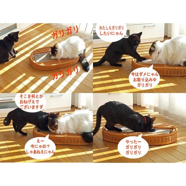 猫 爪とぎ ゴロにゃんオリジナル ラタンの爪とぎケース : 56nyan 猫