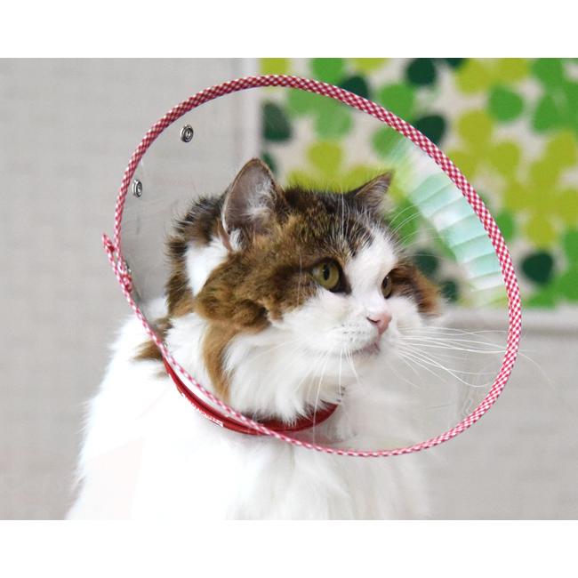 エリザベスカラー ハードタイプ クリアライフ Sサイズ ゴロにゃん