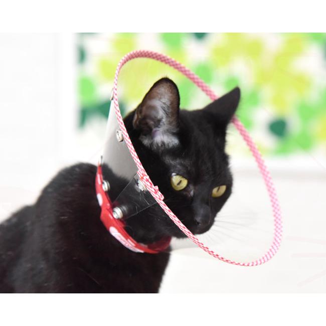 猫用エリザベスカラー ハードタイプ Sサイズ ゴロにゃんオリジナル