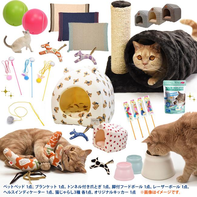 ゴロにゃん福袋2026 国宝級！？今年も詰め込んで詰め込んでまいります