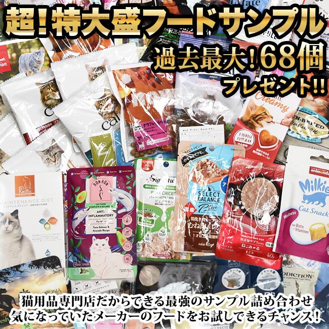 このこのこはん　4袋セット　新品 シニアのためのこのこのごはん 4袋セット