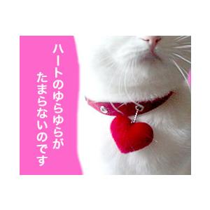猫の首輪 キューティーハートおしゃれ猫首輪 Mサイズ : 56nyan 猫用品