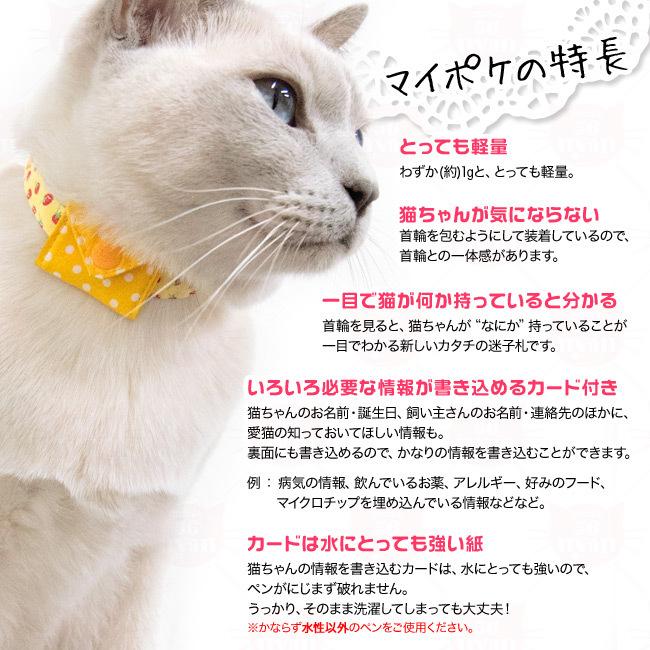 猫用迷子札 ゴロにゃんオリジナル迷子札 マイポケ 無地シリーズ 56nyan 猫用品ゴロにゃんヤフー店 通販 Yahoo ショッピング