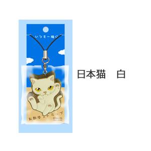 ナユッティー いつも一緒にお散歩ストラップ 日本猫 白 017 56nyan 猫用品ゴロにゃんヤフー店 通販 Yahoo ショッピング