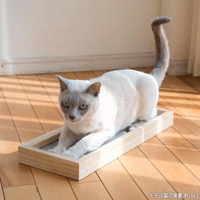 This is 硬い爪とぎ木製ケース 爪とぎ付き シングル (27546) ゴロ
