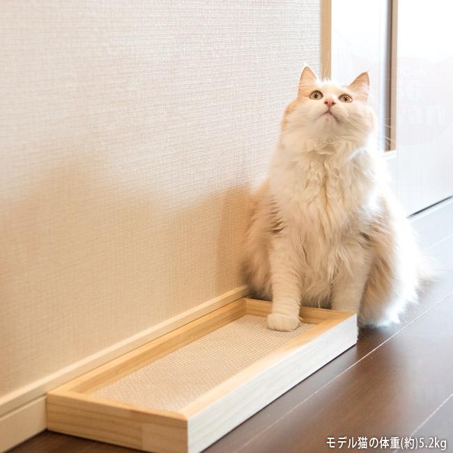 This is 硬い爪とぎ木製ケース 爪とぎ付き シングル (27546) ゴロ