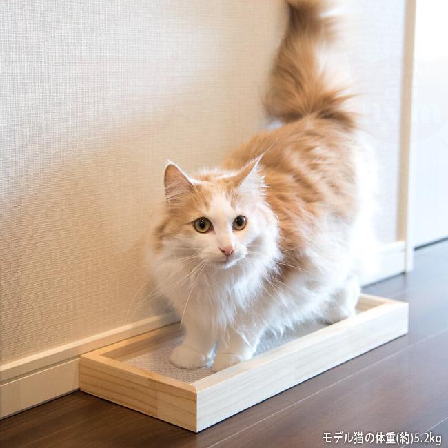 廃盤？】猫型 かわいい 爪とぎ 交換用 木製 ケース ごろにゃん