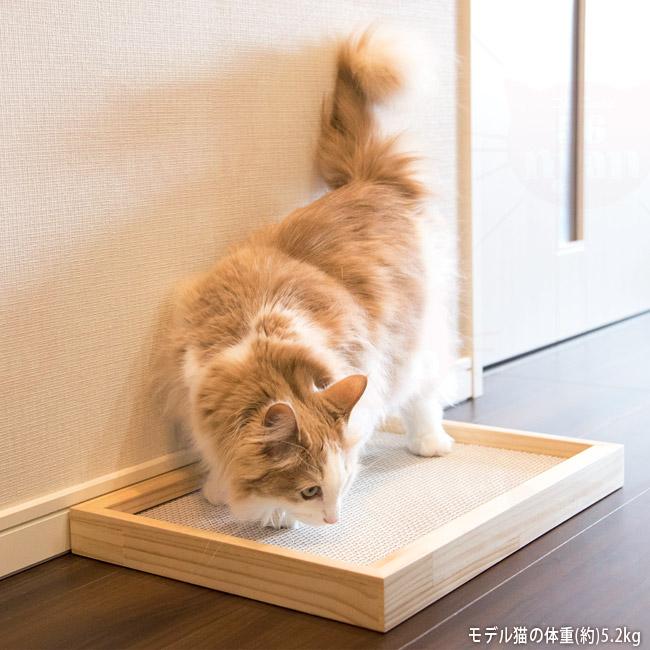 This is 硬い爪とぎ木製ケース 爪とぎ付き ダブル (27553) ゴロにゃん
