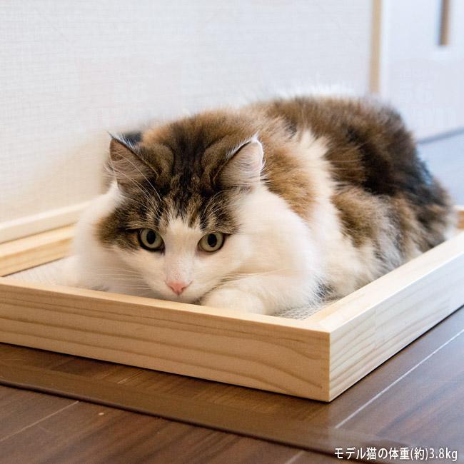 This is 硬い爪とぎ木製ケース 爪とぎ付き ダブル (27553) ゴロにゃん